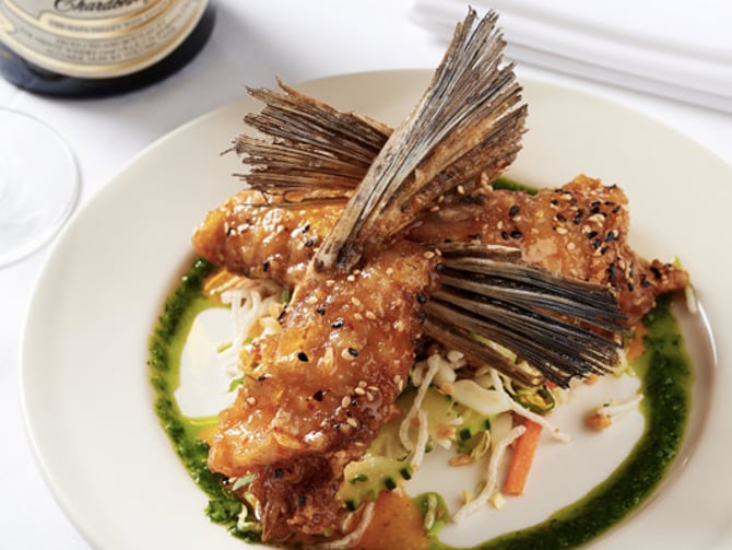 GW Fins - The Mayfair's Top Pick!