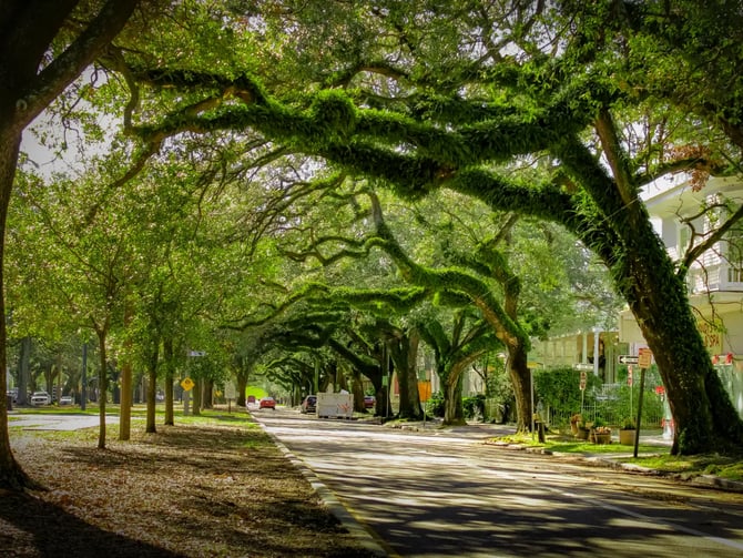 Garden District