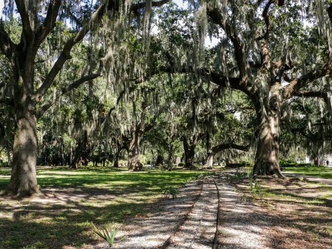 Parks & Outdoors